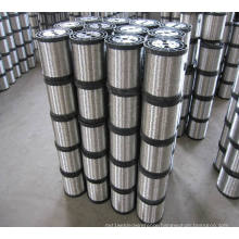 Stainless Steel Wire for Cleaning Balls